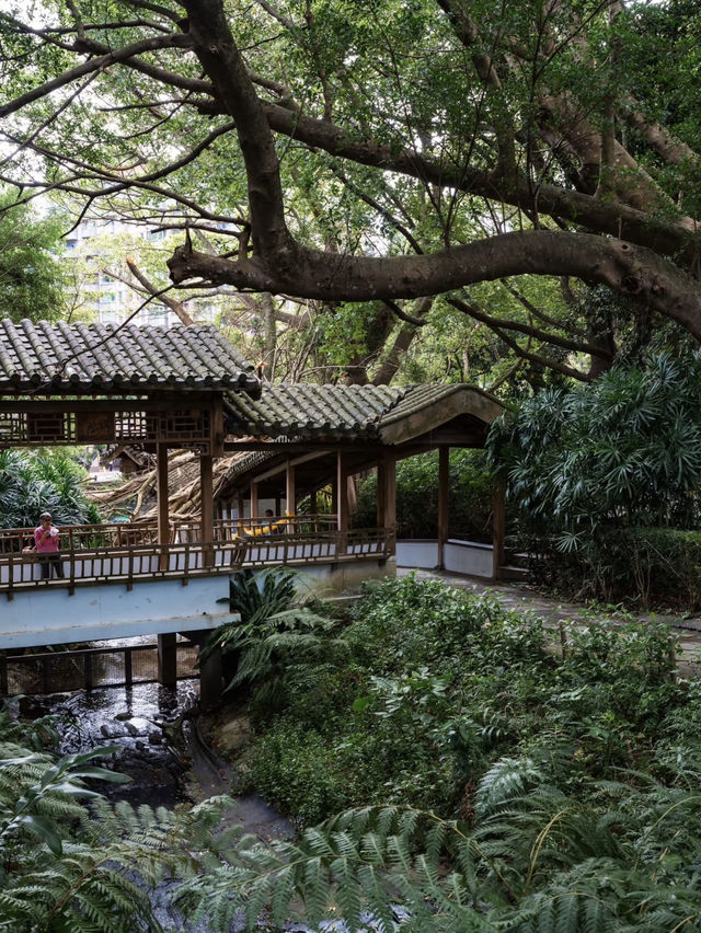 Zhishan Garden: A Hidden Gem of Classical Elegance in Taipei