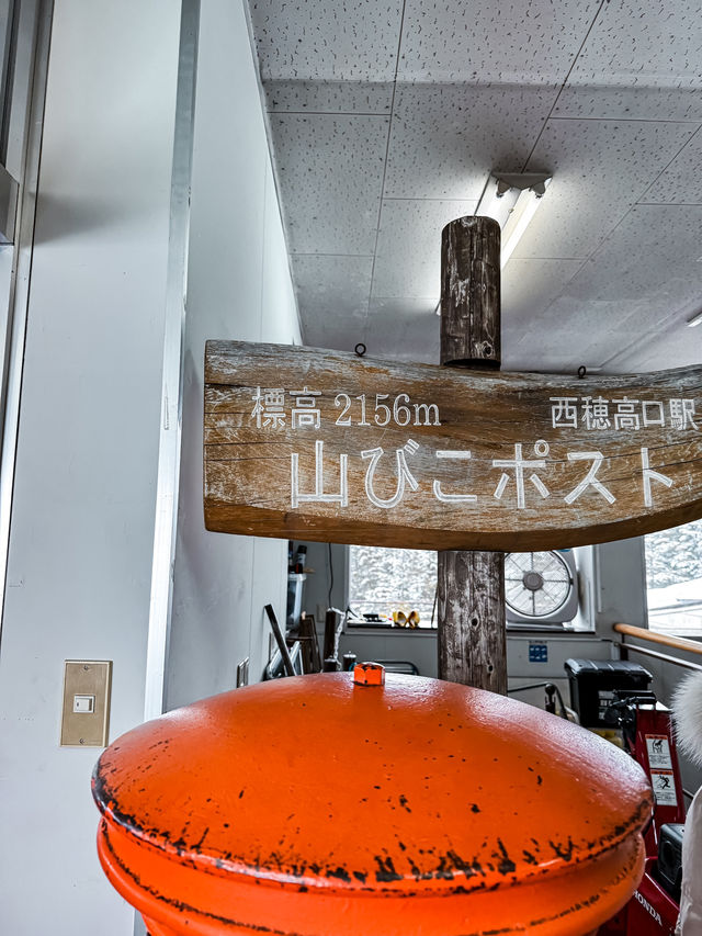 來搭一趟新穗高纜車會被雪景震撼到🩵🤍🚠