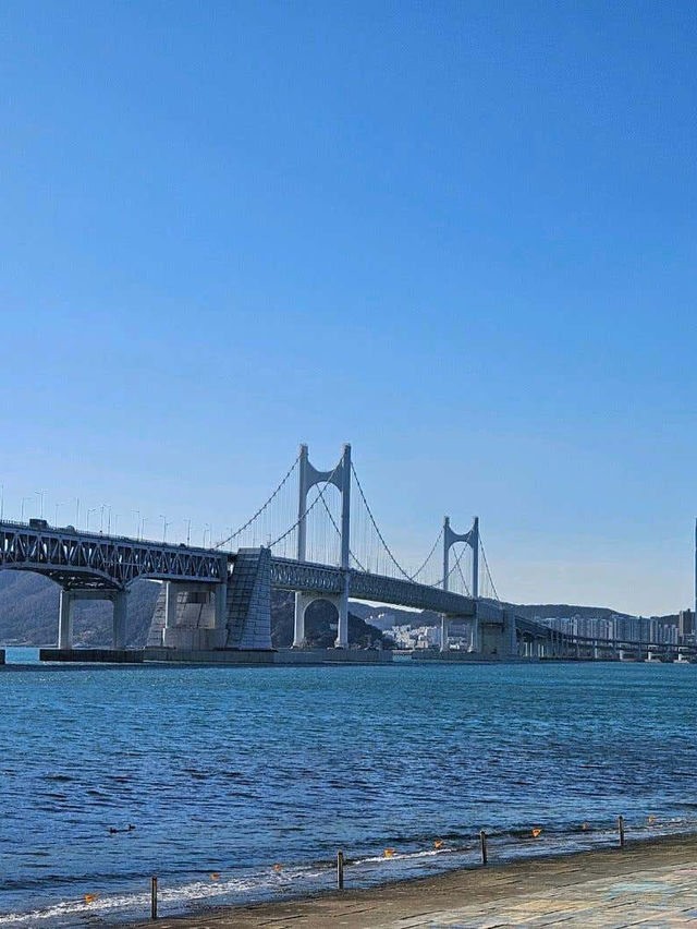 머물다가 광안리 감성 풀빌라 펜션