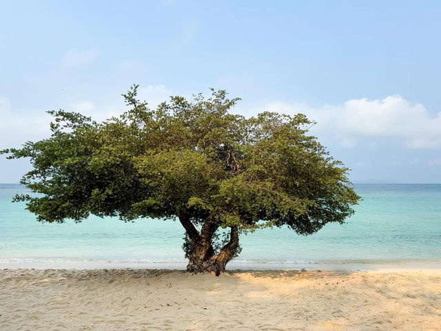 หาดเทียน เกาะล้าน น้ำใส หาดทรายขาว