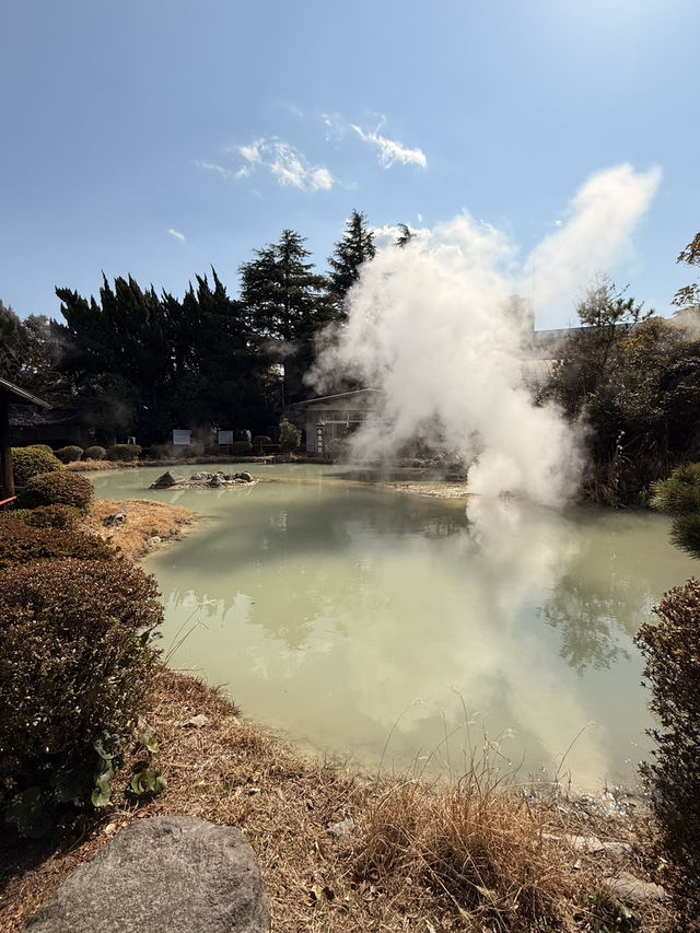 【別府】ココだけ！温泉蒸気熱を利用した「熱帯魚館」がある地獄♨️