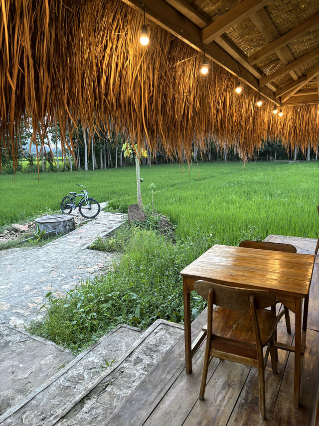 Resto Ne’neru Loko: Where Sumba’s Flavors Come to Life 🍛🌿