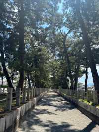 奈良探險記（上）：從世界最古老的木造建築到可愛的鹿群