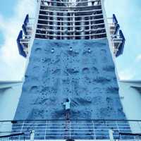 Voyager of the Seas: A Floating Wonderland