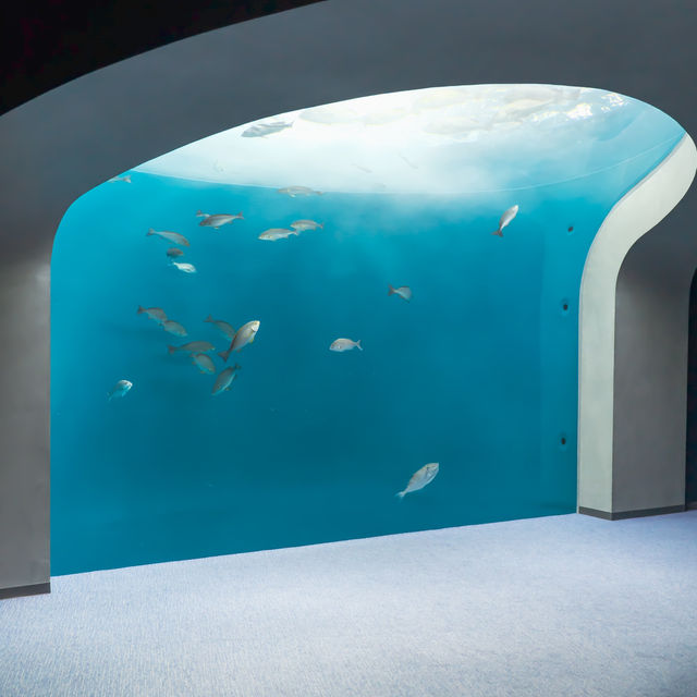 【香川】四国の海を体感！四国水族館🐠🌊