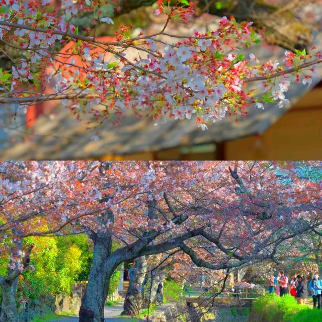 京都
