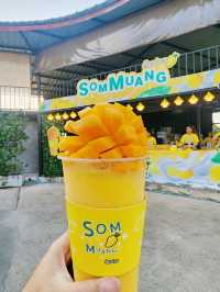 ✨️SomMuang (ส้มม่วง) บุกตรังง🥭😋