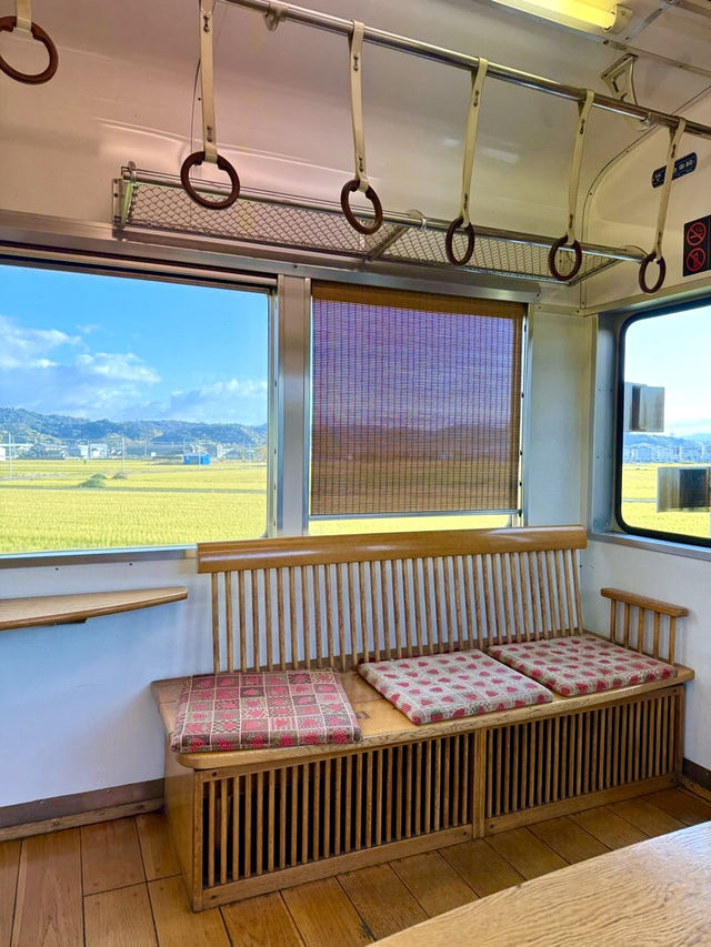 【和歌山県】駅長「よんたま」が勤務＆電車も注目！