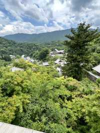 【奈良】花の御寺〜あじさい回廊〜