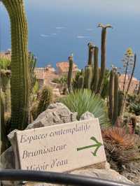 Le Jardin Exotique: A Hidden Botanical Gem in Nice