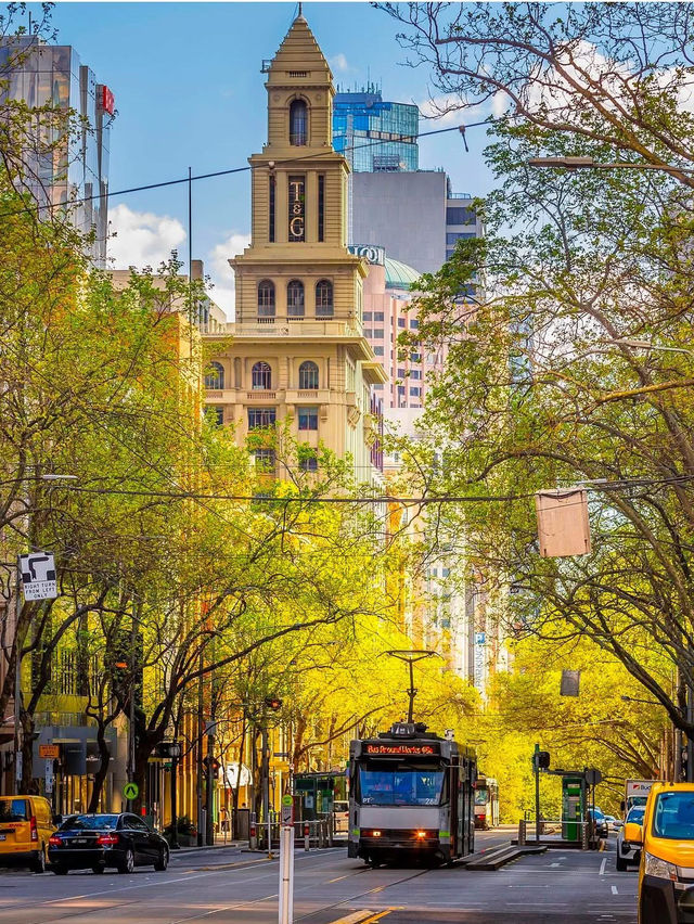 Australia 🇦🇺 