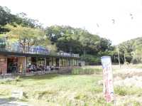 🚂 重遊童年回憶！順遊龍騰斷橋，感受歷史之美 🌉