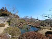 快閃日本仙台：宮城縣志波彥神社