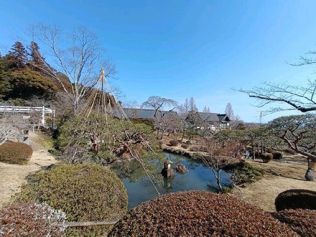 快閃日本仙台：宮城縣志波彥神社