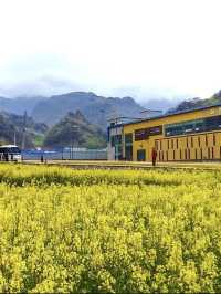 Ulleungdo in Spring: Korea’s Hidden Paradise