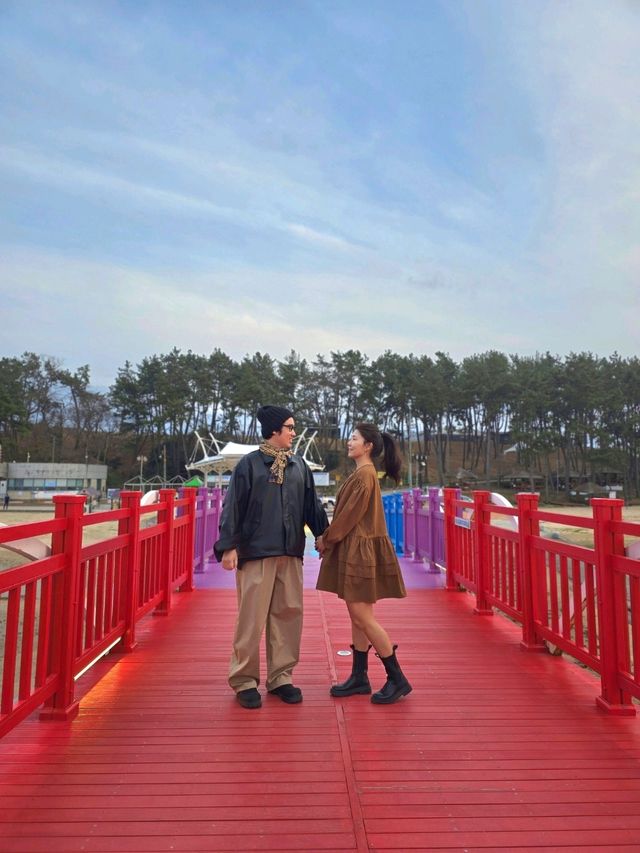 인생샷 남기기 좋은 서해안 함평바닷가🌈