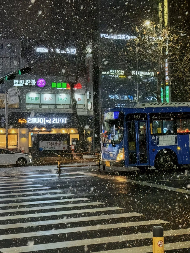 體驗在雪中漫步🥰首爾行程攻略❤️‍🔥