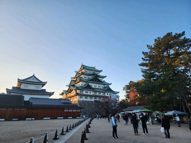日本美麗古城之一🌸 名古屋城 賞櫻好去處