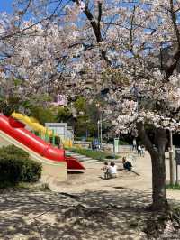 🇯🇵 大阪 🌸 扇町公園的松弛感