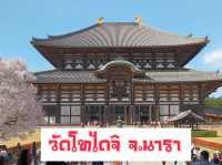 ซากุระ @วัดโทไดจิ จ.นารา