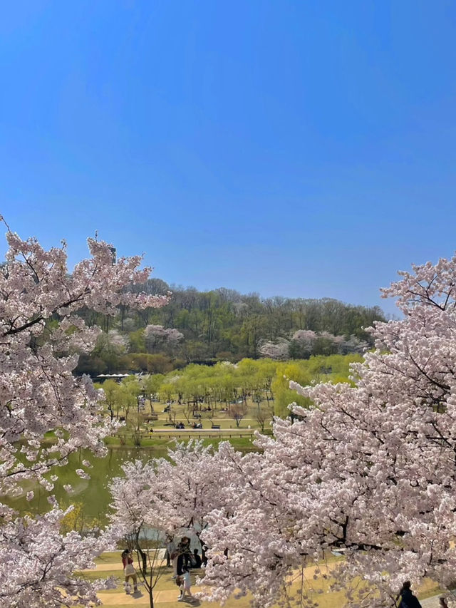 A Stunning View from the Observatory!
