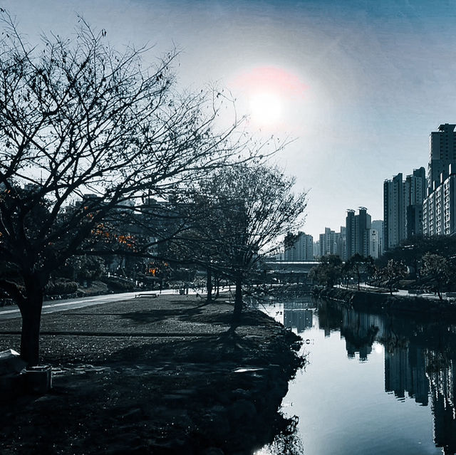 🇰🇷韓國釜山東萊