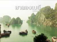 ล่องเรือชิลๆ ชมวิวสุดอลังที่ฮาลองเบย์