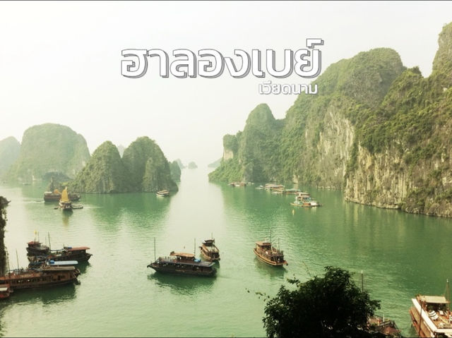 ล่องเรือชิลๆ ชมวิวสุดอลังที่ฮาลองเบย์