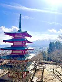 河口湖一日遊
