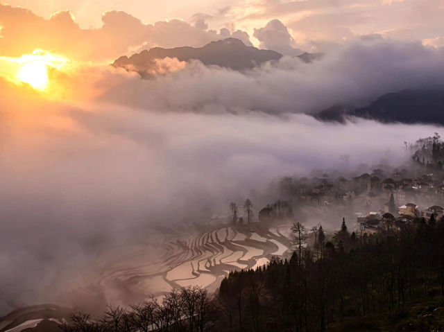 Yuan Yang Terraces Fields