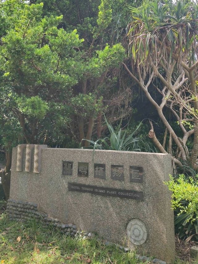 #墾丁國家森林遊樂區