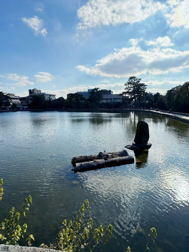  大阪｜一日遊｜奈良市高畑町｜歷史與自然之旅