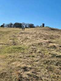 Bradgate Park