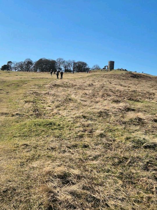 Bradgate Park