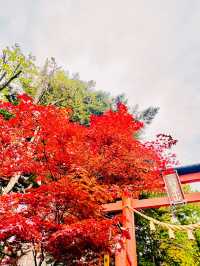 【日本山梨】新倉山淺間公園：步入秋天的畫卷