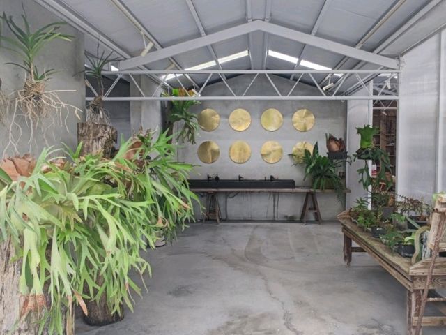 我在梅山呼吸空氣#空氣圖書館-嘉義梅山