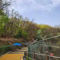 Imjingak Peace Park – Blossoms with a View of History