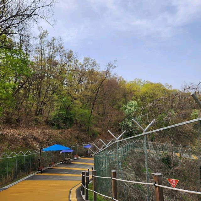 Imjingak Peace Park – Blossoms with a View of History