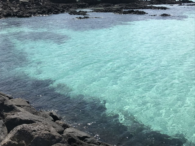 서쪽 제주