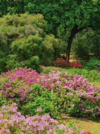 Guangzhou is filled with the essence of spring