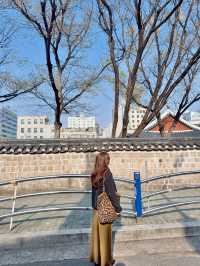 이색있는 서울 여행지 동묘 🌸