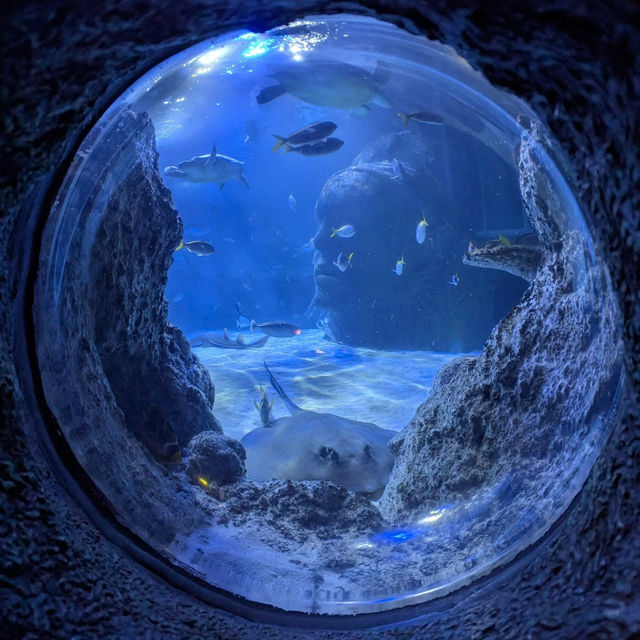 SEA LIFE Manchester