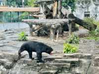 #廣州動物園#親子活動