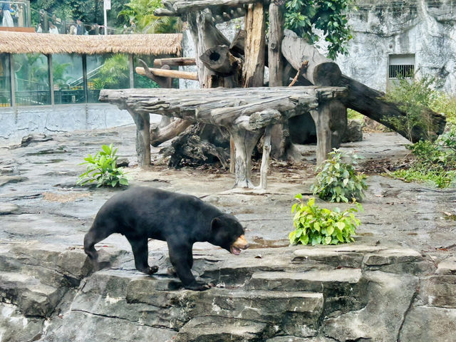 #廣州動物園#親子活動