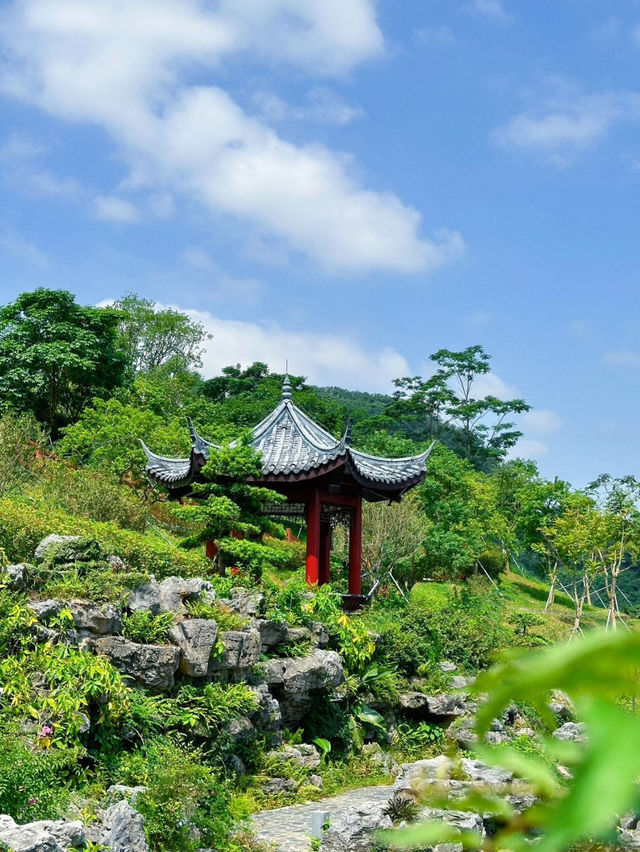 體驗文化魅力🥰深圳行程攻略❤️‍🔥