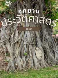 อุทยานประวัติศาสตร์พระนครศรีอยุธยา