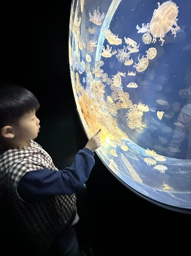 驚喜連連的海遊館🐬