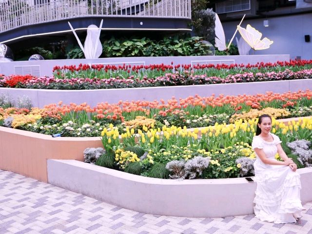 เที่ยวงานดอกไม้ Wondrous Bloom 
