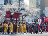 “Jinhae in Bloom: A Spring Symphony of Cherry Blossoms”