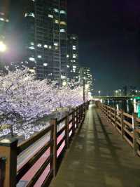 쾌적하고 더예뻐진 광안대교뷰 민락수변공원💚